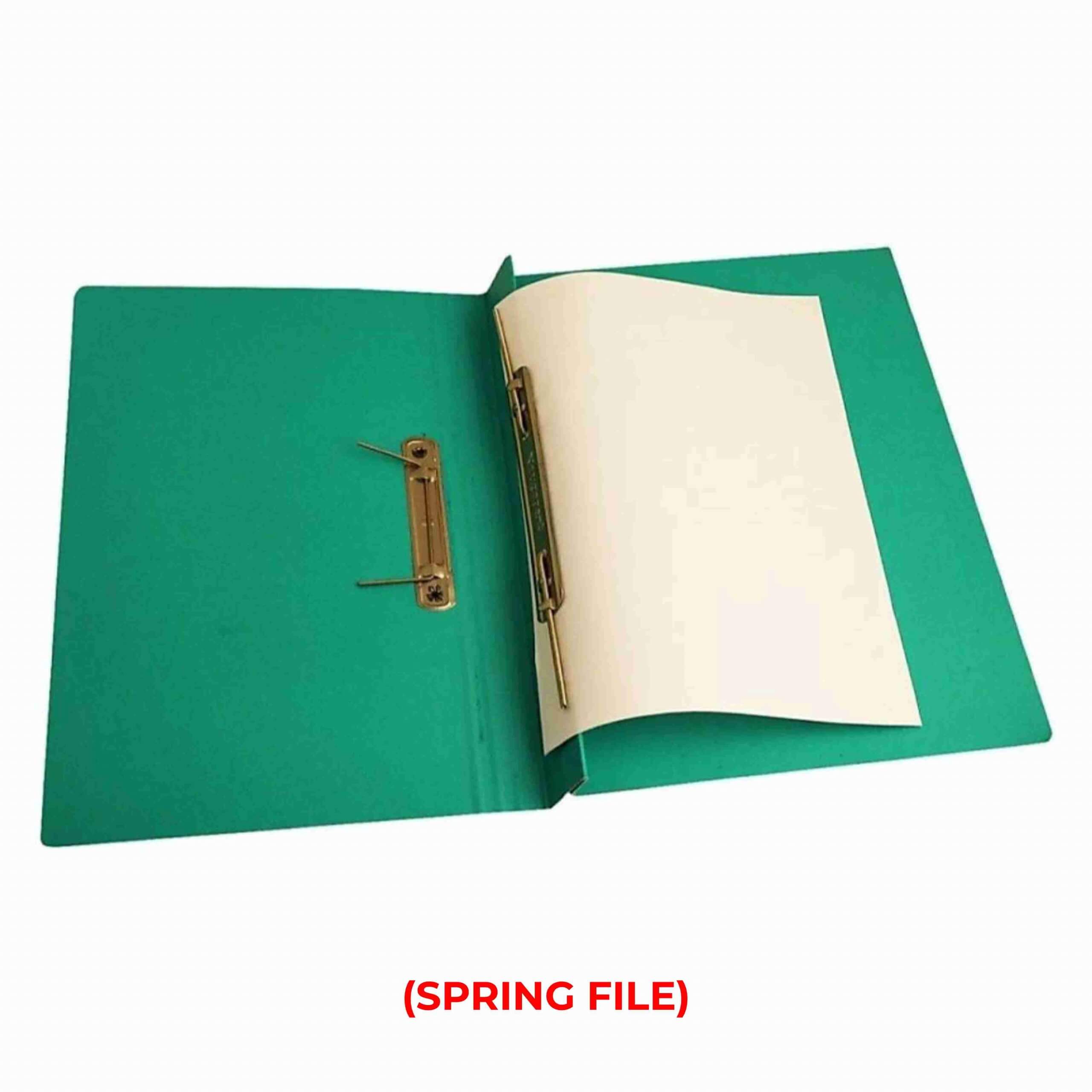 Spring File Cobra With Flat Spine