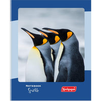 Sparkle Notebook, 15cm x 19cm (Softcover)