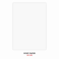 Ivory Paper (220 GSM) - Plain 25 Sheets - Sizes: A4 / A3 / A2 / A1 - Chart Size (Suitable for Drawing, Sketching and Painting)